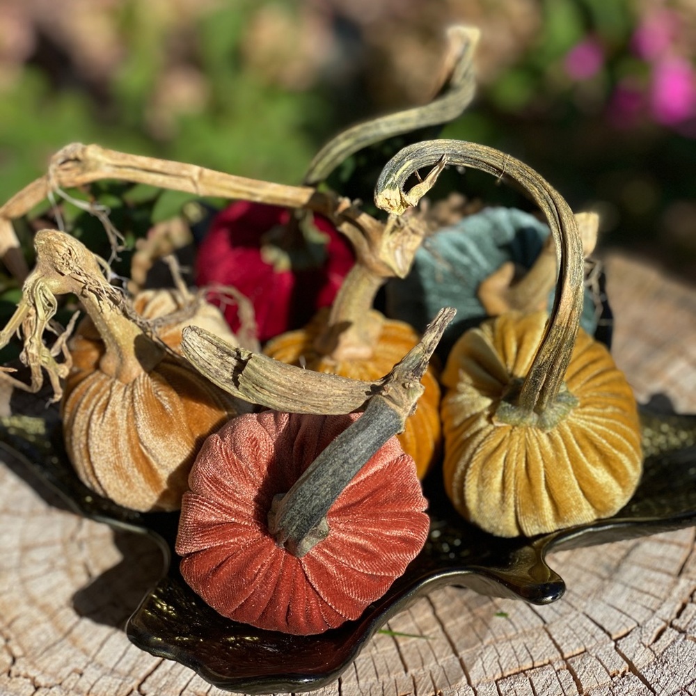 Velvet pumpkins - Picture 3 of 5